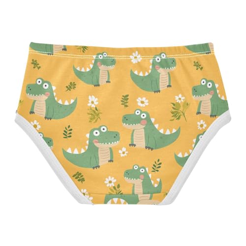 Wusikd Cute Crocodiles Daisy Girls' Underwear Cotton Girls Briefs Soft Toddler Underwear 2T2
