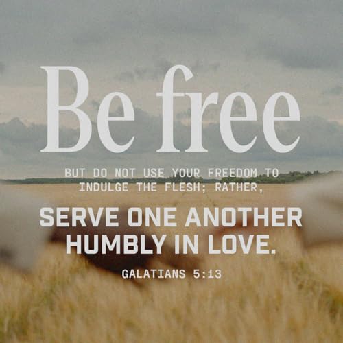 Episode 267: Galatians 5:13-15, Romans 6:1-14, Living Out in Freedom as a Christian, 8.24.25 cover art