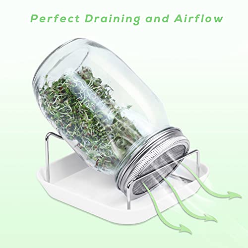 Sprouting Jar Kit - 2 Wide Mouth Mason Jars With 316 Stainless Steel Screen Sprout Lids, Tray,Stand And Brush | Seed Sprouter Set Germination Kit For Growing Broccoli, Alfalfa, Mung Bean (White) #TOP1