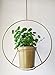 RISEON Boho Gold Metal Plant Hanger,Metal Round Hanging Planter, Modern Planter, Mid Century Plant Holder, Minimalist Planter for Indoor Outdoor Home Decor