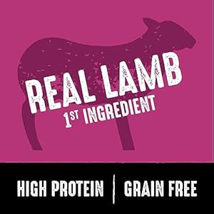 CRAVE Grain Free Excessive Protein Grownup Dry Canine Meals with Lamb, 22 lb. Bag