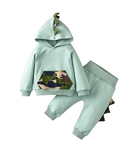 Toddler Infant Baby Boys Dinosaur Long Sleeve Hoodie Tops Sweatsuit Pants Outfit Set (6-12 Months, Knitted-Light Green)