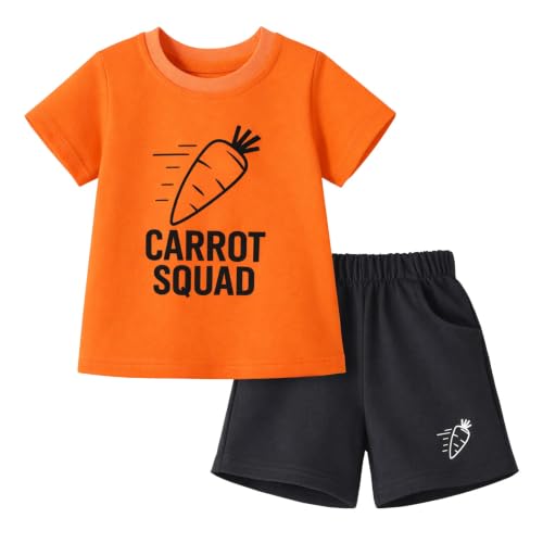 Image of HILEELANG Toddler Boy Summer Outfit Set 2 Piece Short Sleeve T Shirt and Short Soft Breathable Cotton Clothing Sets 2-7T
