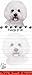 "Bichon Frise Magnetic List Pads" Uniquely Shaped Sticky Notepad Measures 8.5 by 3.5 Inches