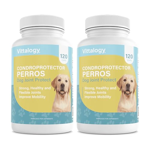 VITTALOGY Condroprotector para Perros. Antiinflamatorio Natural con Colágeno, Condroitina, Hialurónico y Cúrcuma. Complemento Alimenticio para Caderas, Articulaciones y Cartílagos. 240 Cápsulas