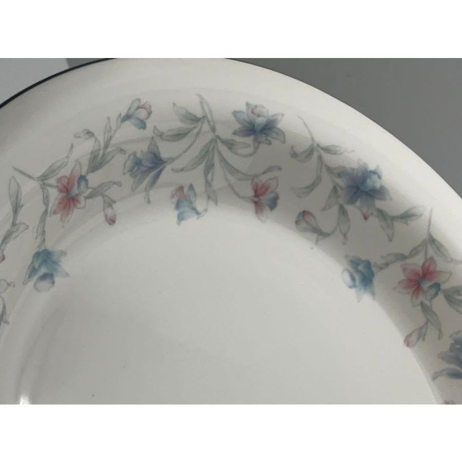 Amazon.co.jp: ノリタケ Noritake New DECADE 大皿2枚セット 品