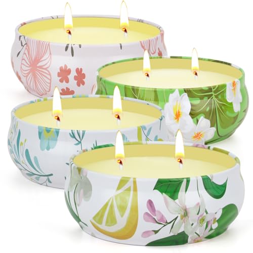 Citronella Candles Outdoor, 4 Pack Soy Wax Lemongrass Candles, Decorative Jar Scented Candle for Patio Garden Backyard Camping Summer, 240 Hours Burning Time
