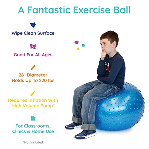 Fun And Function's 28 Inch Tactile Sensory Ball #TOP1