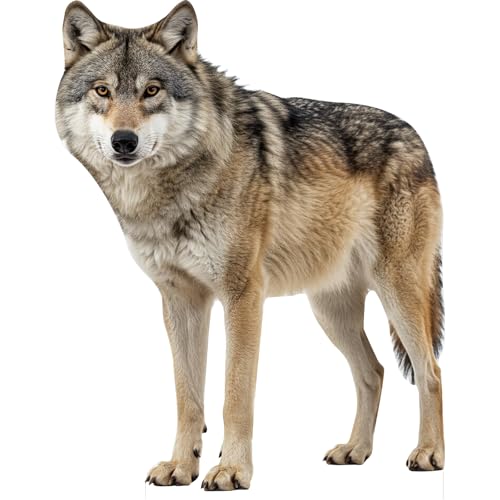 Image of Wolf Cardboard Cutout, 4ft Life Size, Fun Animal Standup, 1 PC | Fun Animal Standup, 4ft Life Size Wolf Cardboard Cutout for Events, Party Decor, Birthday, Photos, 1 PC