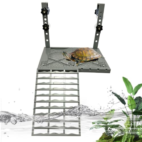 Bandeja elevada de comida en canapés para tortugas y reptiles de acuario 2