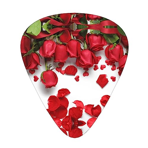 bh[ỶԂтM^[sbN12sbNt@bVp[\iCYx[XsbNϋv̂GLM^[vNgyANZT[