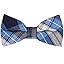 Blue Plaid
