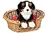 Teddy Hermann 91972 Berner Sennenhund sitzend 21 cm, Kuscheltier mit idealem Recyclinganteil (Füllmaterial)