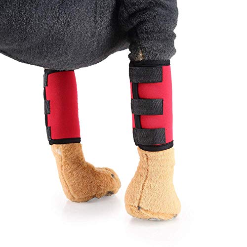 Image of 1 Pair Reflective Tape Elbow Protectors, Dog Front Leg Braces Pet Knee Pads Dog Elbow Protector Help with Injuries Sprains and Loss of Stability Caused by Arthritis(L, Red)