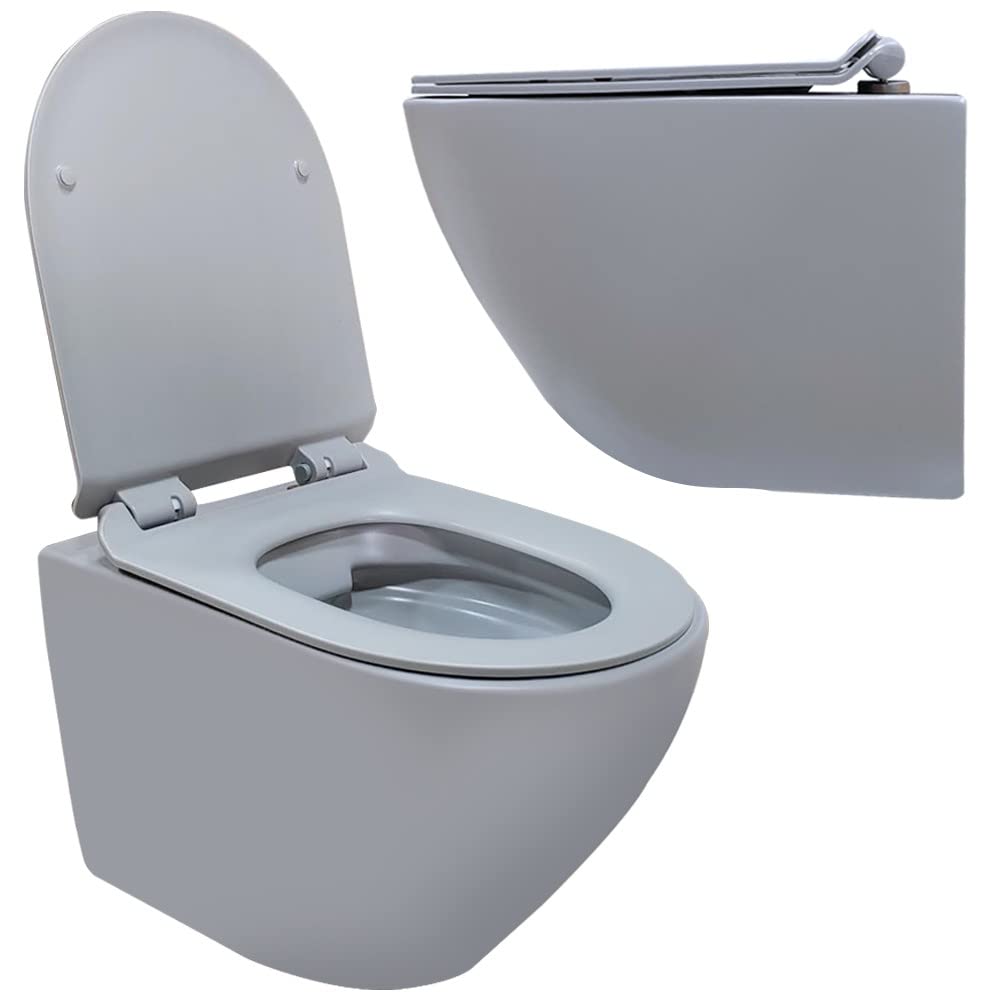 Inodoro suspendido - Cerámica - Sin bridas -Gris mate - Soft-close - Tapa extra fina - Diseño elegante y moderno