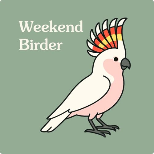 Birds that Connect Us - with Amanda cover art