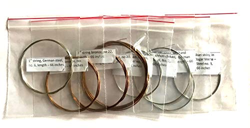 Rudra Veena Strings Set German Steel Roselu And Bronze Professional Complete Set #TOP1