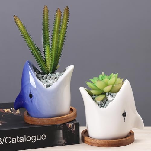 Pot de fleurs requin en céramique DOITOOL pour plantes succulentes - 7