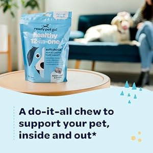 12-in-1 Dog Multivitamin Chewable Treats | Complete Multivitamin for Dogs with Glucosamine Chondroitin & Digestive Enzymes for Dogs of All Ages and Sizes | NASC Certified & Made in The USA | 60 Chews