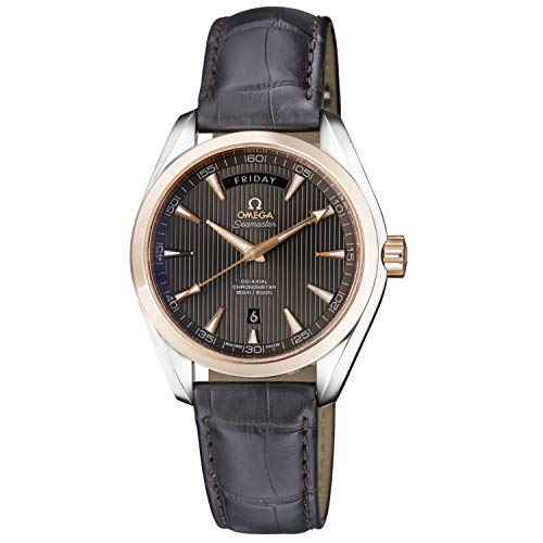 Omega Seamaster Aqua Terra Automatic Movement Grey Dial Men's Watch 231.23.42.22.06.001