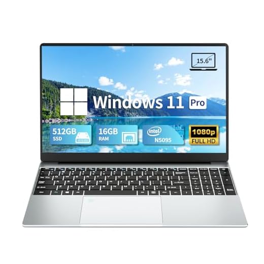 DARYUKUM PC Portatile 15,6 pollici, Notebook 16GB LPDDR4 RAM 512GB SSD, Laptop Celeron N5095 Windows 11 pro con display IPS 1920x1080 USB 3.0 Mini HDMI2.4G/5G WiFi PC Computer Ufficio