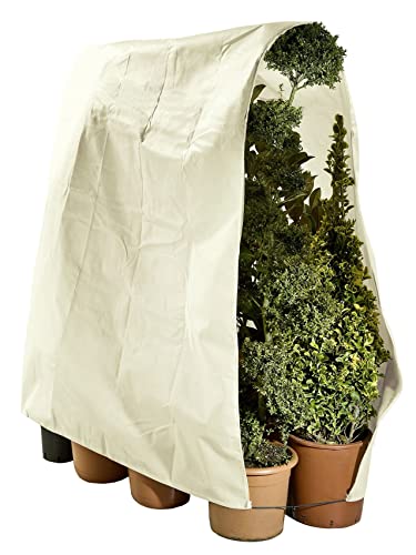 Maximex Pflanzenschutz Vlies 240 x 200 cm - Aus lichtdurchlässigem, wasserabweisendem Vlies, Polypropylen, 240 x 200 cm, Beige