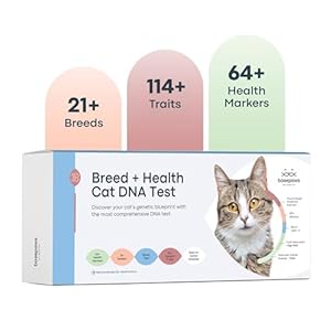 Basepaws Cat DNA Test Kit – Comprehensive Breed, Health and Dental Analysis Across 114 Traits for Accurate and Easy-to-Use Genetic Insights