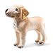 Produktbild Steiff 83471 Hund, beige