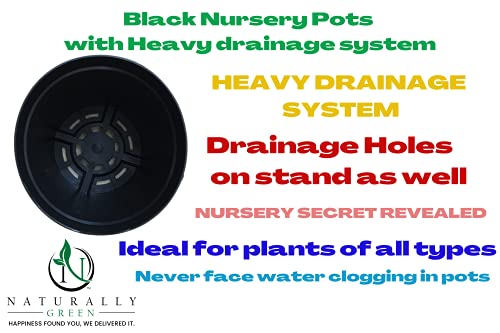 Image of Naturally Green Unique Drainage System Nursery Pots with Multi Holes for Balcony Terrace Plants Pack of (4 inch, 20)