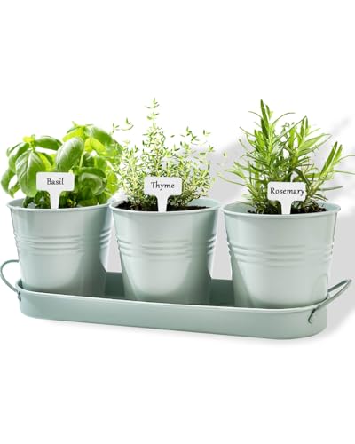 vensovo Indoor Herb Planter Set - Galvanized Windowsill Gard