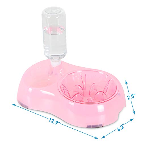 Anypet Slow Feeder Bowl, Elevated, Double Transparent For Cats, Small Dogs, Pet Automatic Water Feeder With Water Bottle, Pink (Apf06P) #TOP5