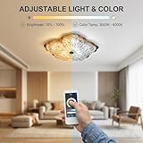 duowelly B0GF1ZFGSH lato 4