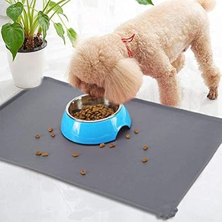 disney dog food bowl