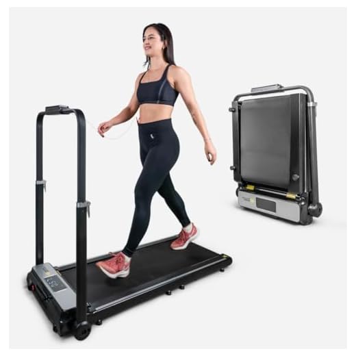 Esteira Dobrável Portátil Active Walking Run 2 em 1