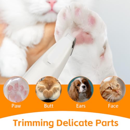 OFFCUP Pfotentrimmer für Hundem, Leise Hundeschermaschine mit LED-Licht, Schermaschine Hund Katze, Hundetrimmer Wiederaufladbar Hundepfoten Trimmer Haustier Rasierer für Pfoten, Augen, Ohren, Gesicht