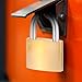 12 Pack Solid Brass Same Keyed Padlock Keyed Alike Padlock Waterproof and Rustproof Lock with 1-1/4