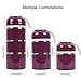 HOMESPON Cute Lunch Box Insulated Lunch Bag Bento Box Food Container Storage Boxes With Spoon For Adults Office Camping (3 Tiers(wine)) …
