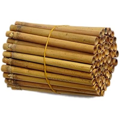 Bamboo Tubes, for Mason Bees, Natural Bamboo Bee Nest, Easy to Split for Cocoon Harvest, 5.9 Long and 0.27-0.4 Inner Diameter (0.75)