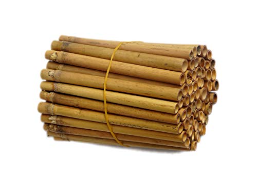 IA Crafts Bamboo Tubes for Mason Bees Natural Bamboo Bee Nest Easy to Split for Cocoon Harvest 5.9 Long and 0.27-0.4 Inner Diameter (0.75)