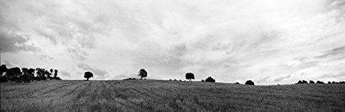 Photography: Landscape 53, 20X6.5In. (Unstretched Canvas) #TOP13