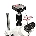 Microscopes Equipment 38mm CTV Stereo Microscope Camera Adapter 23.3mm C Mount Industrial Digital Video Aadapter Tube Accessory