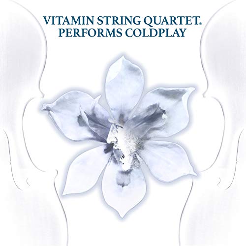 Vitamin String Quartet