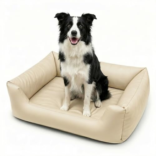 4L Textil Mario Hundebett Kunstleder - Formstabiler & Wasserfester Hundekorb für Große Hunde, Kratzfestes Hundesofa mit Abnehmbarem Bezug, Leicht Abwaschbar (120x90x25 cm, Beige)