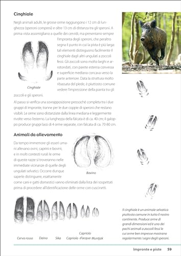 Tracce E Segni Degli Animali. Ediz. Illustrata - 7