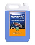 Ecoworks Marine EWM10105 Detergente per Battelli Gonfiabili Rigidi
