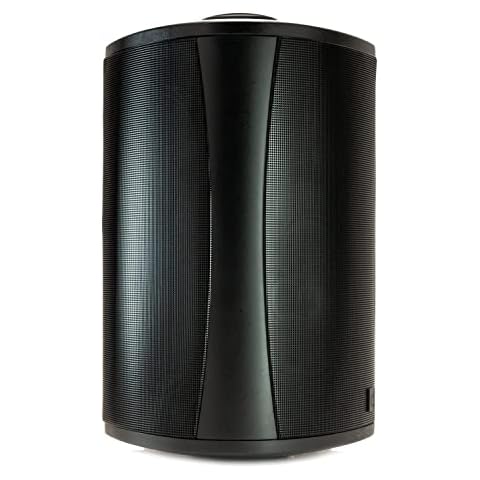 Definitive Technology AW6500 Outdoor Speaker - 6.5-inch Woofer, 200 Watts, Built for Extreme Weather, Single, Black Cover