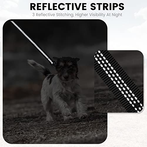 Image of Dog Leash for Small to Medium Dogs 6 ft with 3 Reflective Stitching and 2 Traffic Padded Handles Dog Lead /Rope, Pet Leash for Running Walking Training (Black 1 Pack - 6 ft x 0.6 in)