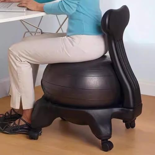 EXCLURA Yoga Ball Office Chair with Back...