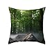 Fodera Cuscino 50x50, Copricuscino Verde Poliestere Albero e Pietra Modello Divano Federe Cuscini(1Pcs)