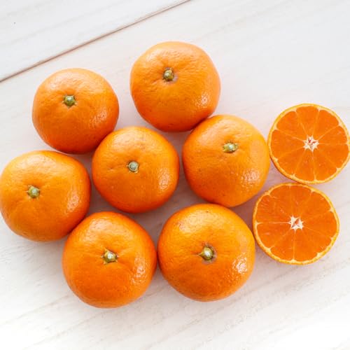 ʓc̎O݂ 승i_sgpj5kg 1iEڗ܂j